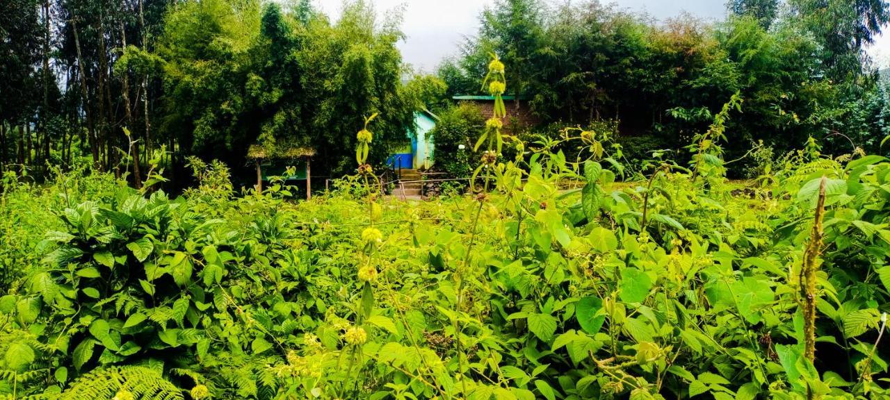 Under Volcanoes View Guest House Nyarugina Exterior foto